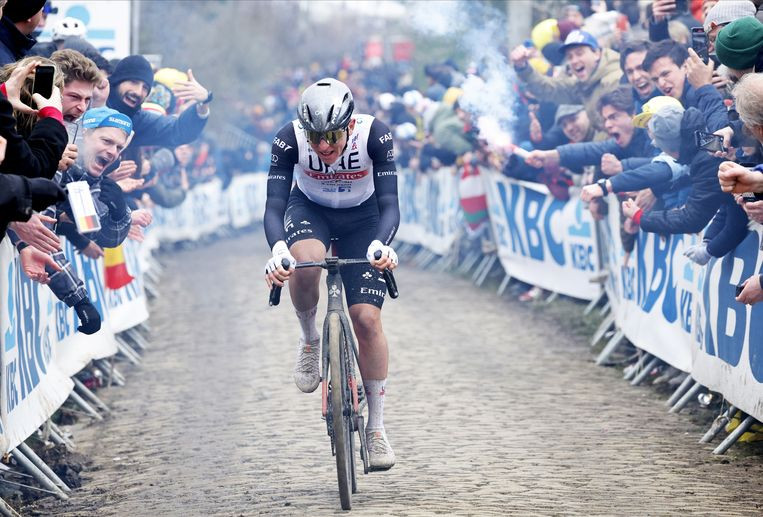 girodociclismo.com.br principal jornalista belga revela ao canal sporza quem foi o melhor ciclista em 2023 image