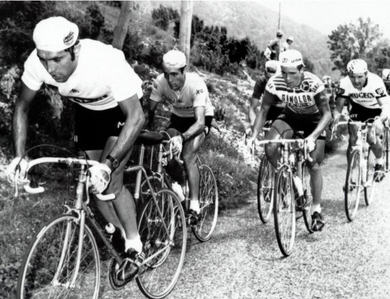 girodociclismo.com.br eddy merckx recusou a camisa amarela no tour de 1971 screenshot 11