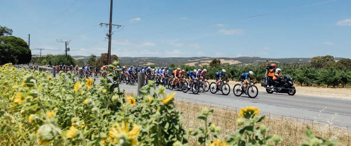 Tour Down Under 2024; Onde assistir no Brasil e Portugal, online e Streaming 3 girodociclismo.com.br tour down under 2024 onde assistir no brasil e portugal online e streaming image 1