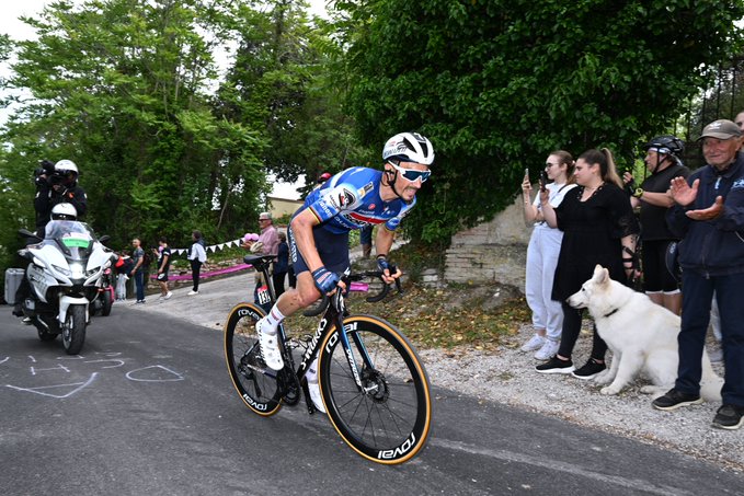 girodociclismo.com.br julian alaphilippe fala sobre possivel saida da soudal quick step a decisao ja foi tomada alaphilippe clasica san sebastian