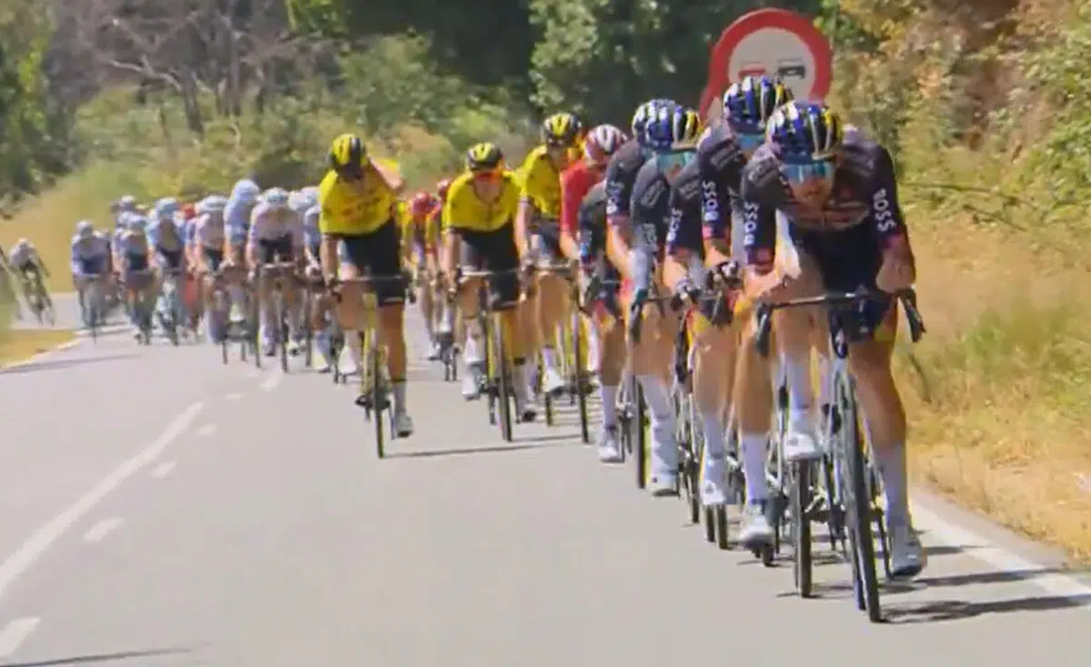 Vuelta a Espãna: resultados da 4ª etapa, Primoz Roglic vence e assume liderança, João Almeida 3º, assista a chegada 3 girodociclismo.com.br vuelta a espana resultados da 4a etapa vence e assume lideranca assista a chegada image 4