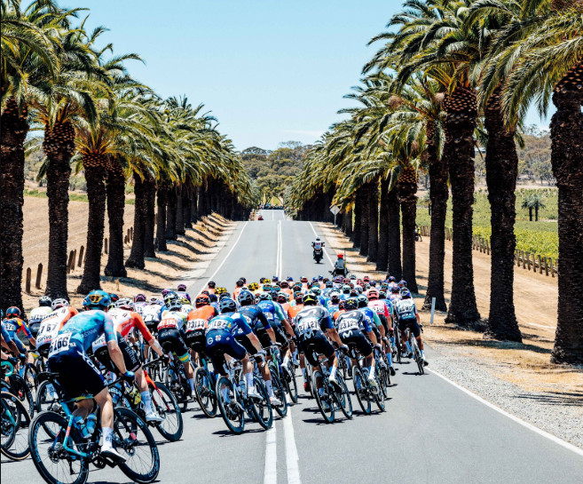 girodociclismo.com.br sam welsford conquista a segunda etapa do tour down under 2024 image 11