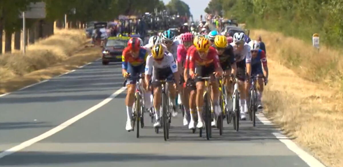 Remco Evenepoel brinca com Mathieu Van der Poel após vitória de Tim Merlier: "Desculpe, agora não somos amigos"; assista a entrevista 2 girodociclismo.com.br remco evenepoel brilha no apoio a merlier e brinca com van der poel desculpe agora nao somos amigos image 2
