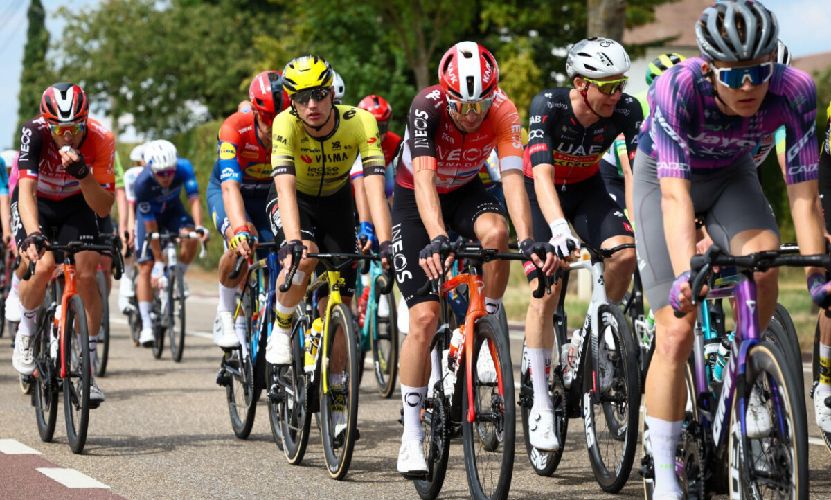Tim Merlier vence a 4ª etapa do Renewi Tour, Arnaud de Lie permanece na liderança, confira os resultados e a chegada 3 girodociclismo.com.br tim merlier vence a 4a etapa do renewi tour arnaud de lie permanece na lideranca confira os resultados e a chegada image 8
