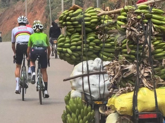 Tadej Pogacar admite revanche contra Evenepoel "Ele apagou a lembrança ruim do Tour, domingo é a minha vez" 5 girodociclismo.com.br tadej pogacar admite revanche contra evenepoel ele apagou a lembranca ruim do tour domingo e a minha vez image 6