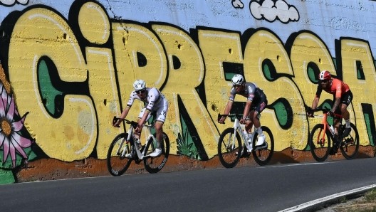 girodociclismo.com.br se tadej pogacar deixar van der poel para tras ele ira sozinho ate a chegada filippo ganna analisa francamente a milan sanremo image