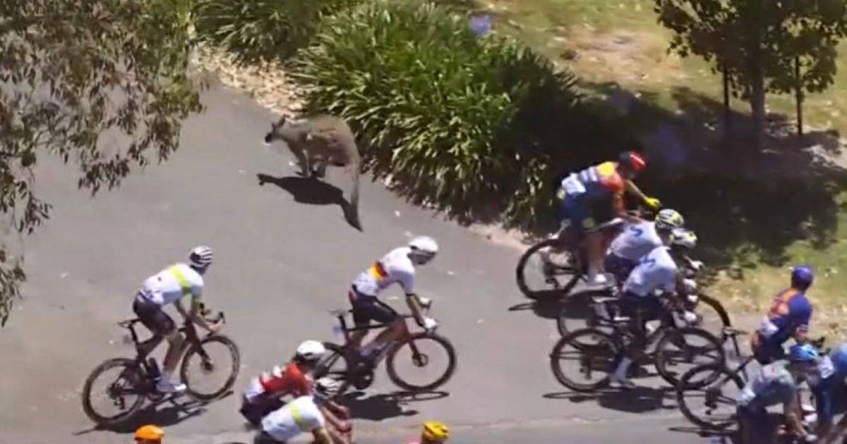 girodociclismo.com.br uae emirates enfrenta grande numero de lesoes e desiste de competicao temos 12 ciclistas fora de acao image