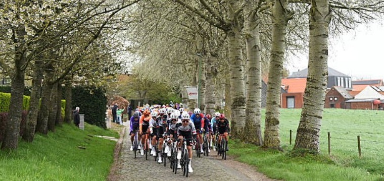 girodociclismo.com.br tour de flandres 2026 image 4