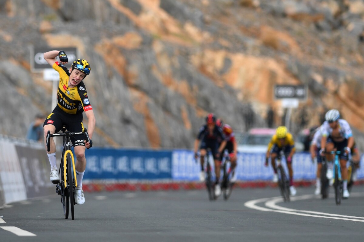 Alberto Contador e Vincenzo Nibali analisam Jonas Vingegaard "é o ciclista mais resiliente que já vi", assista o vídeo 3 girodociclismo.com.br alberto contador e vincenzo nibali analisam jonas vingegaard e o ciclista mais resiliente que ja vi assista o video image 4