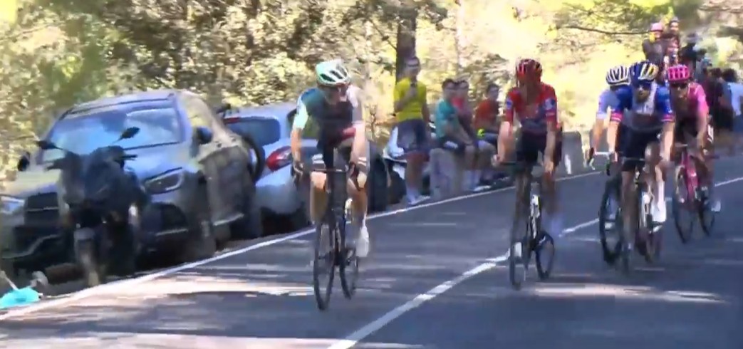 girodociclismo.com.br vuelta a espana 2026 bryan coquard vence a 9a etapa a lideranca resultados e a chegada image 24